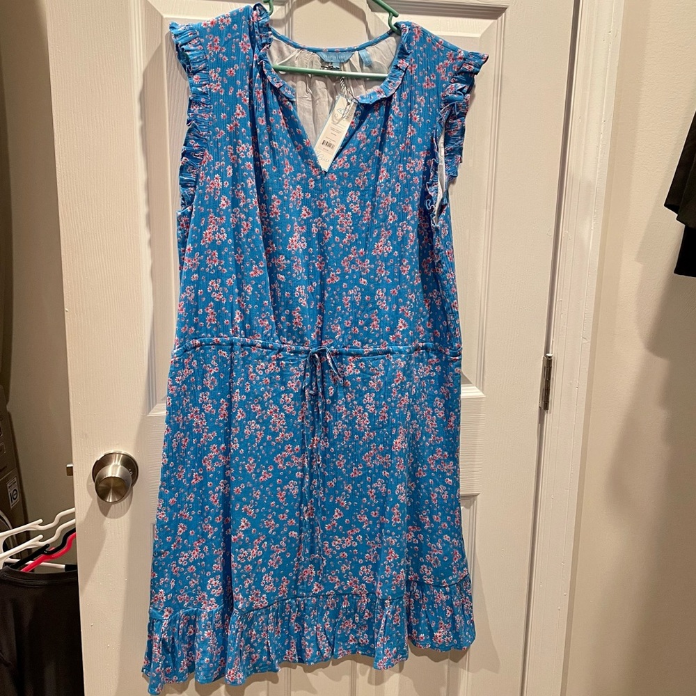 NWT Lucinda Popover dress
